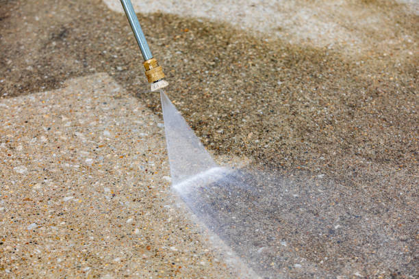 Best Roof Washing  in Merrillville, IN