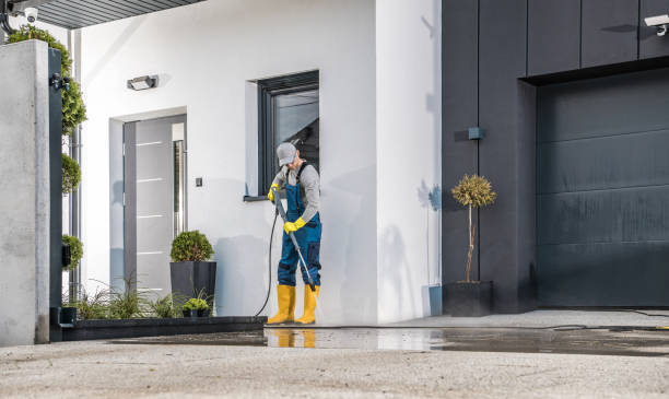 Best Solar Panel Cleaning  in Merrillville, IN